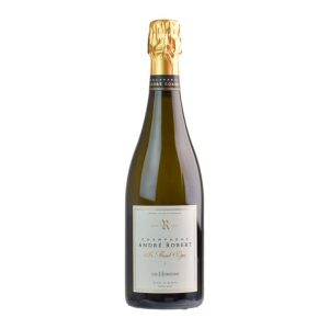 CHAMPAGNE ANDRE ROBERT HORIZONS